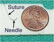 Comparacion entre la sutura utilizada por microcirugia y una moneda.